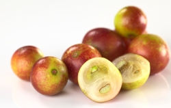 Superfood Camu-Camu Informationen und Kalorien / Nährwerte