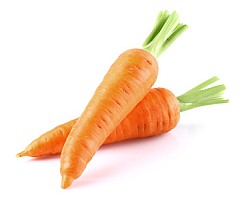 Karotten Informationen und Kalorien / Nährwerte