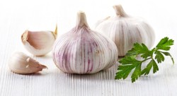 Knoblauch Informationen und Kalorien / Nährwerte