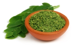 Superfood Moringa Informationen und Kalorien / Nährwerte