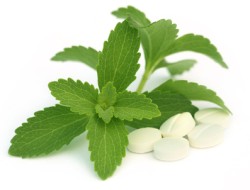 Stevia Informationen und Kalorien / Nährwerte